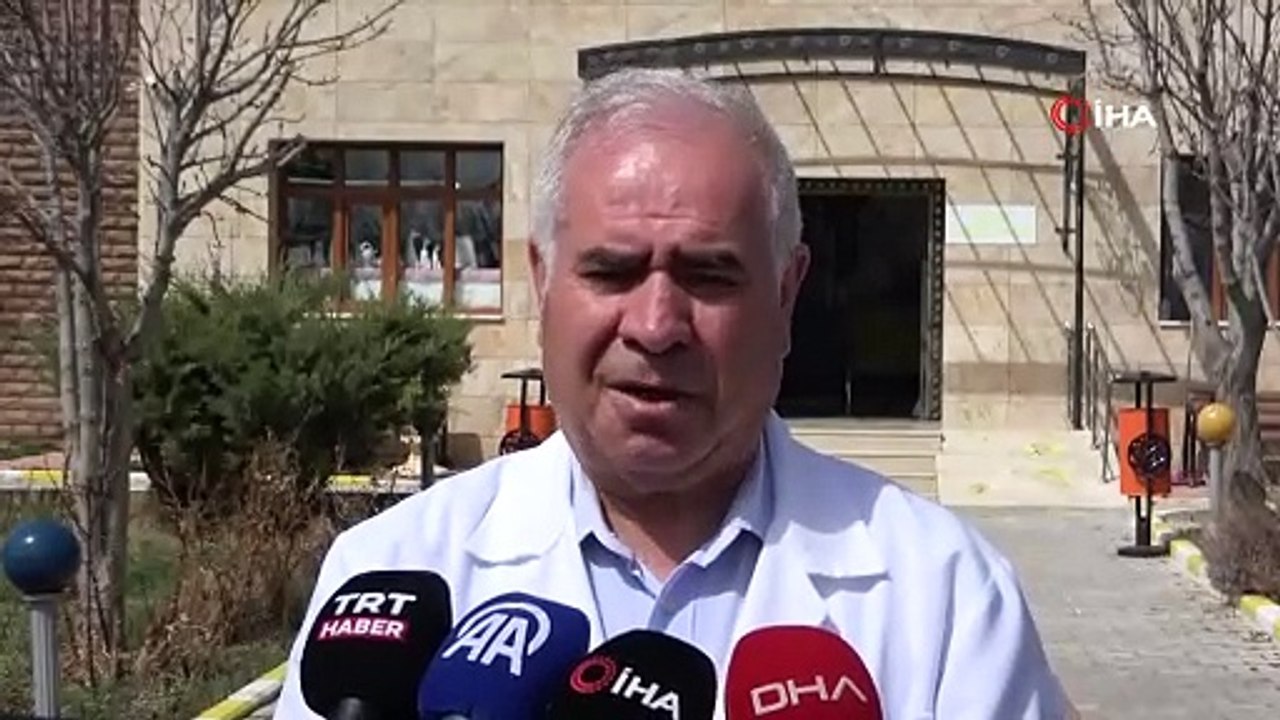 2025 yılının ilk Van kedileri dünyaya geldi