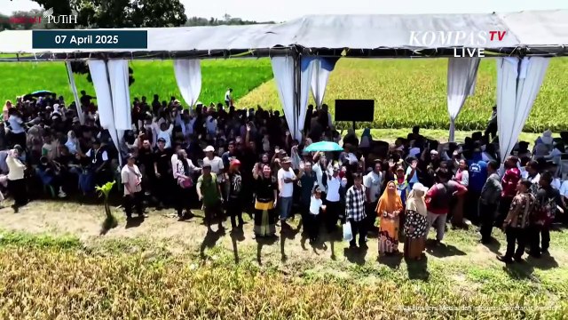 Janji Presiden Prabowo 1000 Burung Hantu Bantu Petani Usir Hama Tikus