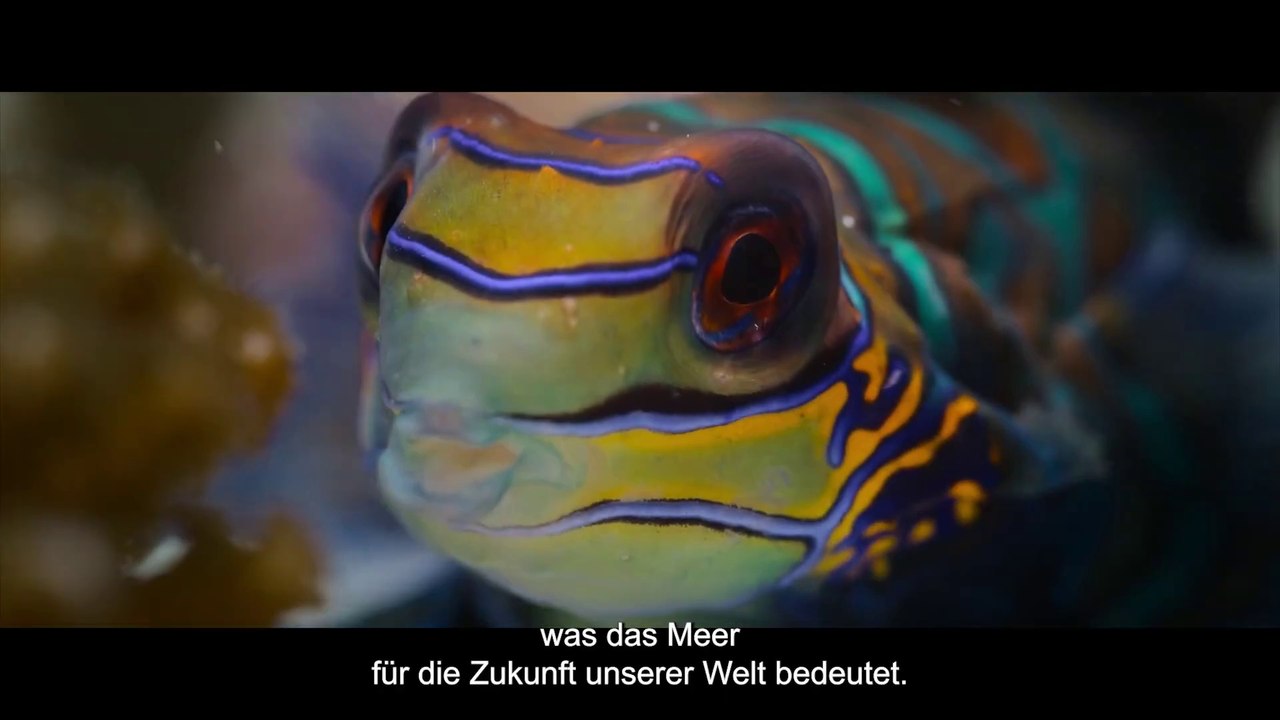 Ozean mit David Attenborough - Trailer (Deutsche UT) HD