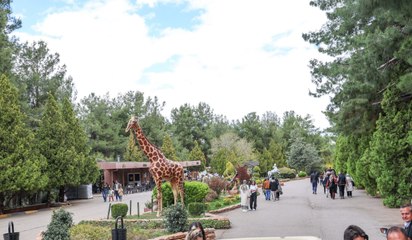 Büyük hayal gerçekleşti! Gaziantep Doğal Yaşam Parkı rekor kırdı