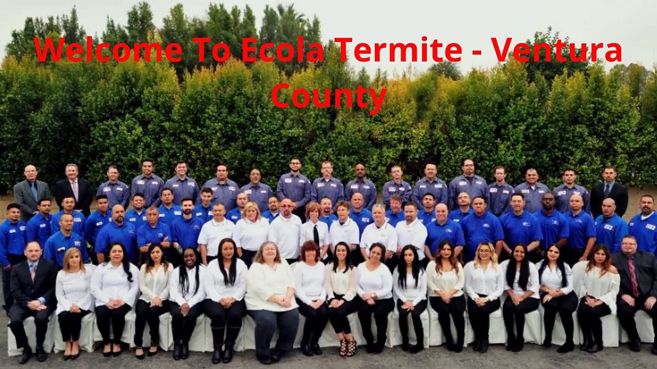 Ecola Termite | Best Exterminator in Ventura, CA