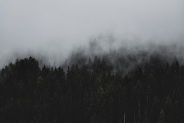 Si vous allez dans la FÔRET, soyez accompagnés.