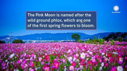 Take beautiful spring shots with the Pink Moon on April 12-13