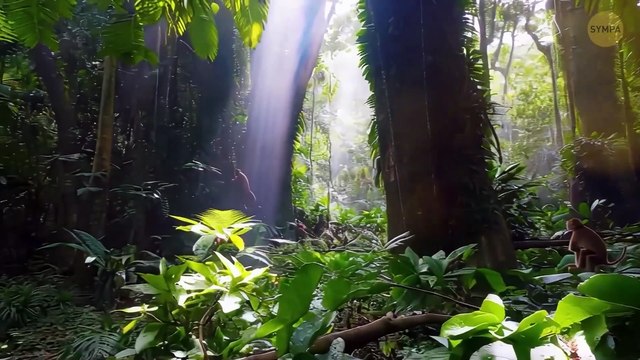 Des scientifiques ont découvert cet endroit inexploré ! Le continent X découvert Documentaire