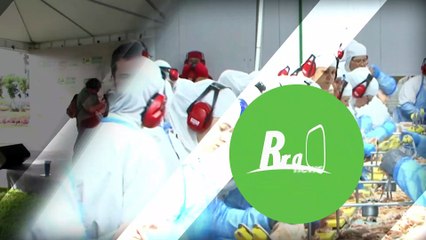 Agronegócio é maior responsável pela geração de empregos em Goiás, afirma secretário de Agricultura