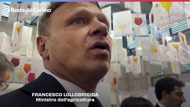 Il ministro Lollobrigida al padiglione Vinitaly dell’Emilia Romagna: video