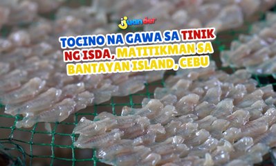 Tocino na gawa sa tinik ng isda, matitikman sa Bantayan Island, Cebu  | I Juander