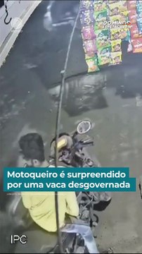 VIDEO: Una vaca atropelló a un motociclista en plena calle y se dio a la ‘fuga’