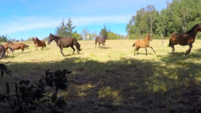 Aab-e-Hayat ki Haqeeqat - Kya Yeh Zinda Rehne ka Raaz Quran mein Hai? islamic info story