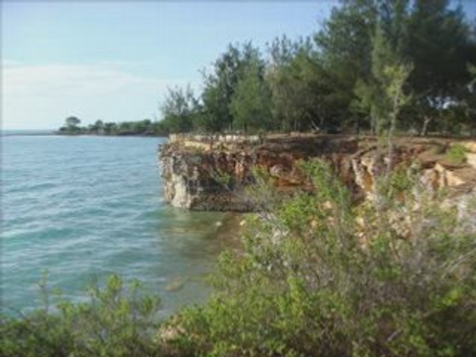 Darwin