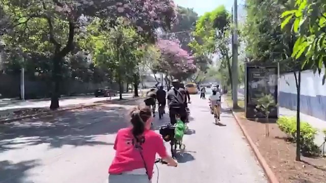 Hicieron miles de kilómetros en bicicleta para pedir justicia por las adopciones ilegales en Guatemala