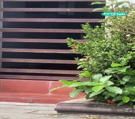 Lach dich schlapp mit Lustige Pfoten Ч. 59