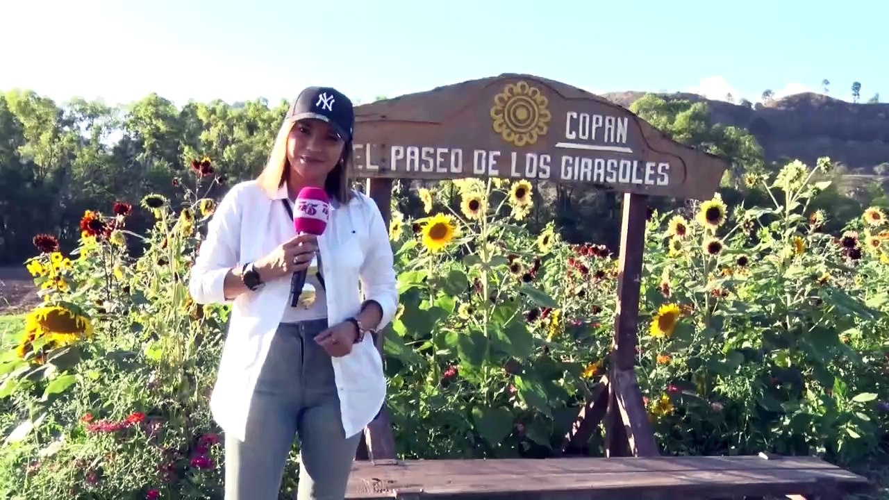 La Ruta Tn5 - Copán