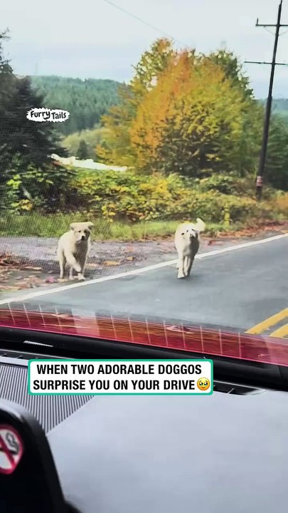 Stopped by two cuties