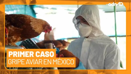 ¿Gripe aviar en México? Reportan el primer caso en el país
