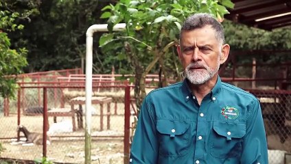 ext-guillermo-vargas-finca-café-monteverde-070425