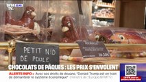 LE REPORTAGE DU 20H - Le prix des chocolats de Pâques en hausse de 14 % en un an