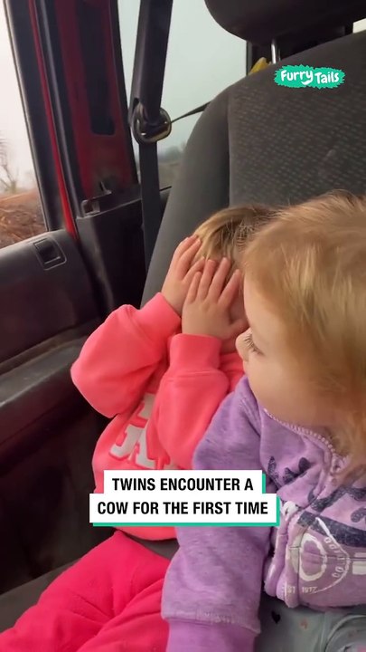 Lach dich schlapp mit Lustige Pfoten Ч. 60