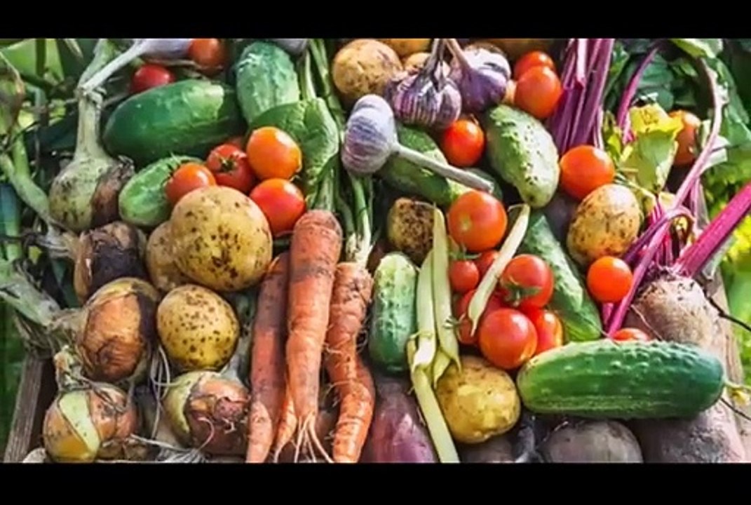 Evite costos altos de comida