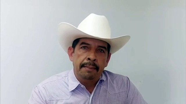 Gripe aviar en Durango: no se han detectado casos POSITIVOS en granjas avícolas del estado