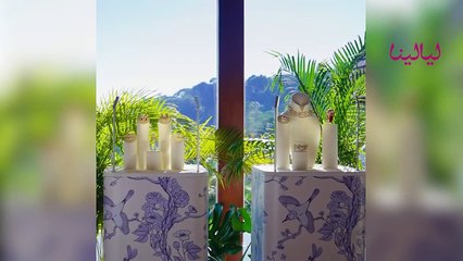 Tiffany & Co تكشف عن مجموعة "طائر على لؤلؤة": من لآلئ الخليج