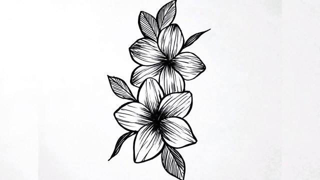 How to draw flowers easy __ Flower drawing tutorial for beginners