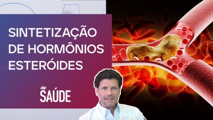 Qual o papel do colesterol na nossa vida? | Dr. Filippo Pedrinola