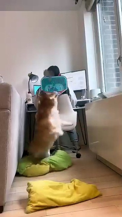 Play below tauu sennn