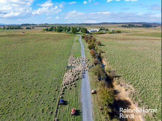 Premier NSW sheep property Inveralochy listed for sale in Southern Tablelands