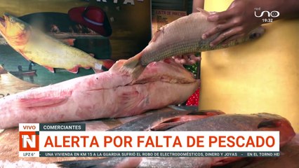 Comerciantes reportan incremento en el kilo de pescado