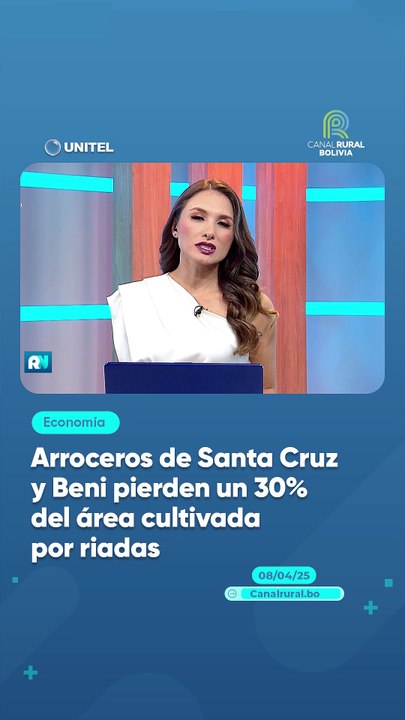 Arroceros de Santa Cruz y Beni pierden un 30% del área cultivada por riadas
