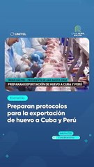 Preparan protocolos para la exportación de huevo a Cuba y Perú