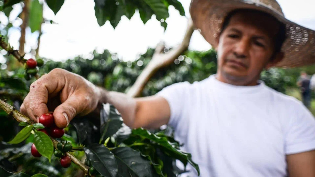 ¿Qué estrategias podría usar Colombia para negociar las tarifas con EE. UU.?