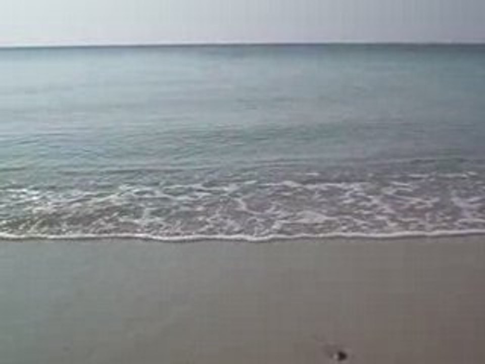 DSCF0459