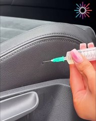 Secret Hacks to Instantly Remove Bad Car Smell