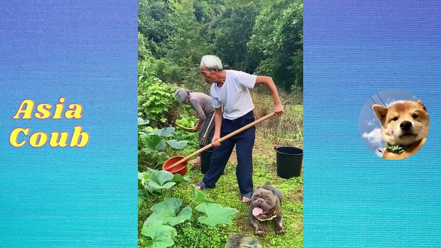 BEST FUNNY Videos 2021~china vines~TOP People doing stupid things P17 Vines