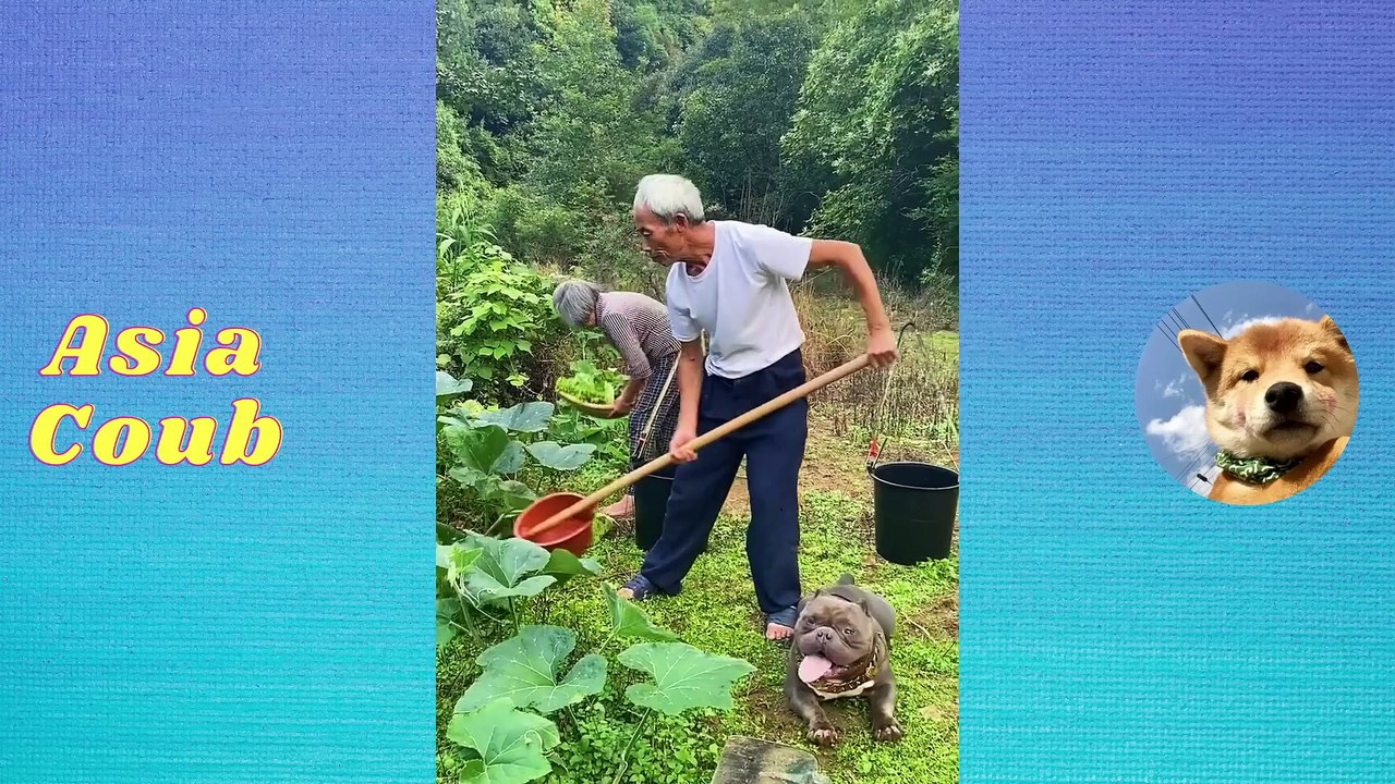 BEST FUNNY Videos 2021~china vines~TOP People doing stupid things P17          Vines