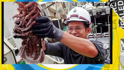 Los piojos pueden vivir hasta 24 horas bajo el agua