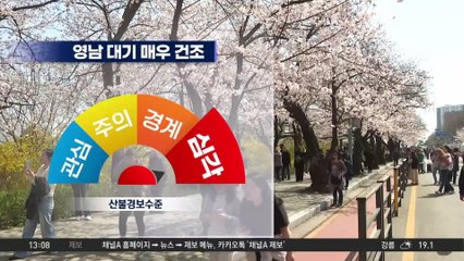 [날씨]‘한낮 19도’ 벚꽃 만발…서쪽 미세먼지