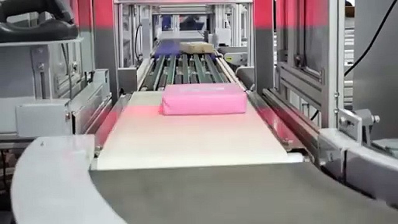 Falcon Autotech Sortation Solutions