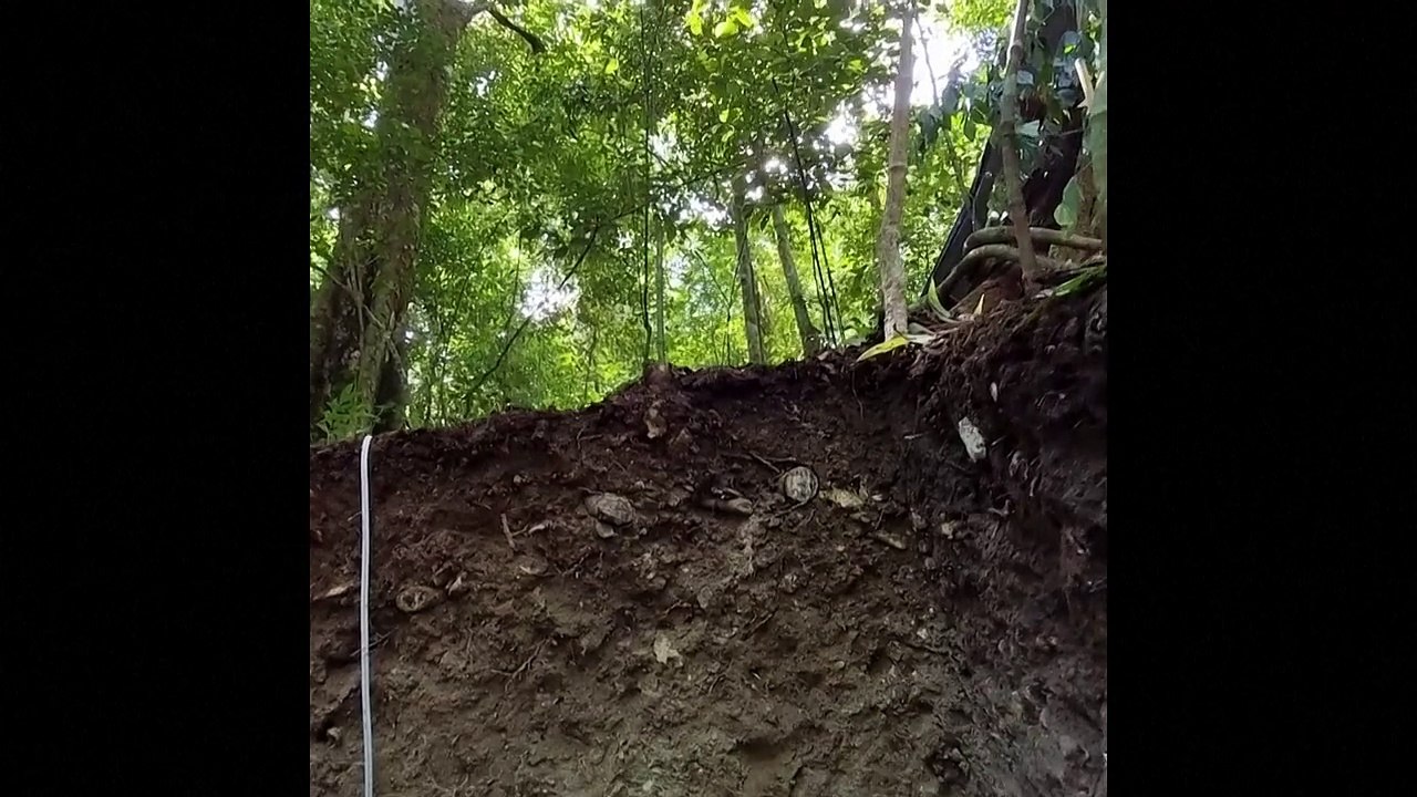 Hallan altar teotihuacano en sitio arqueológico maya Tikal en Guatemala