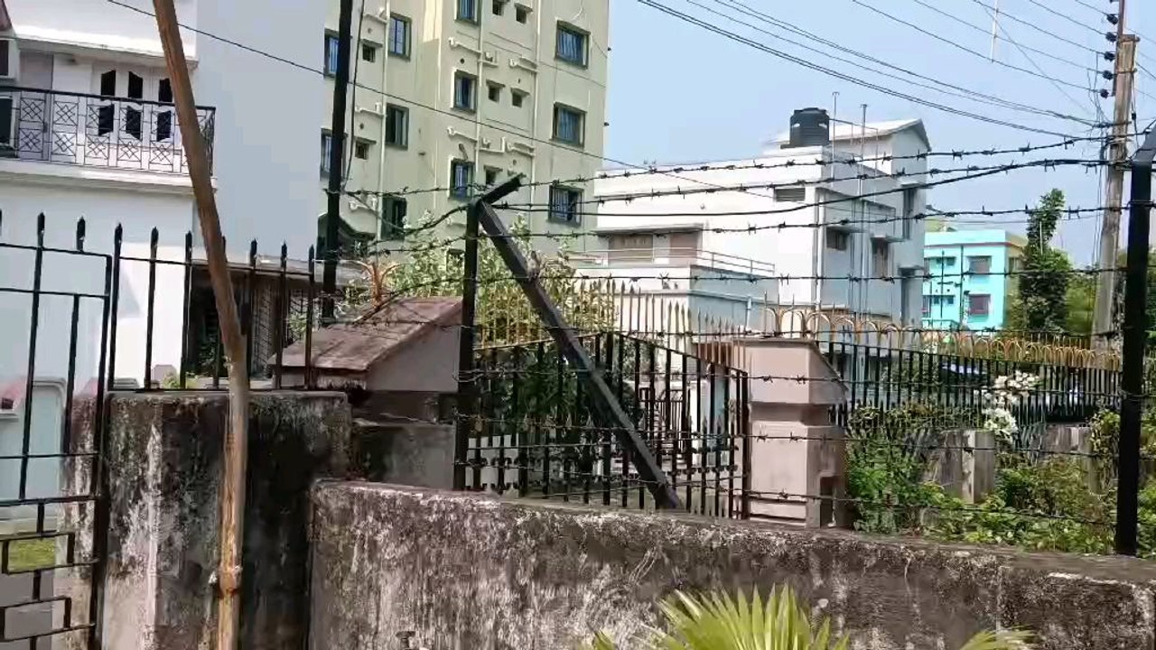 New born baby bird , trying flew.