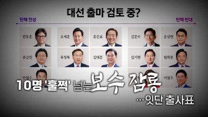 [영상] 10명 '훌쩍' 넘는 보수 잠룡들, 잇단 출사표 / YTN