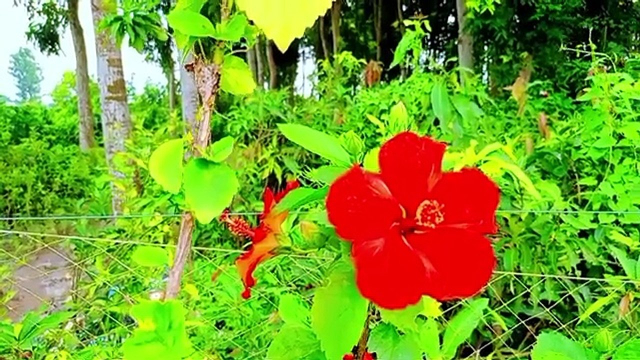 🎶💫 Endlessly Mashup | सदाबहार नग़में | Lata Mangeshkar, Kumar Sanu | Evergreen Hindi Songs #EvergreenSongs #SadabaharGaane #LataMangeshkar #KumarSanu