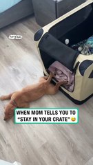 When mom tells you to &