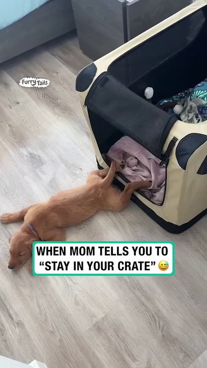 When mom tells you to &