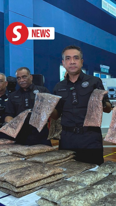 Cops bust largest drug trafficking ring in Johor, seize drugs worth RM14.3mil