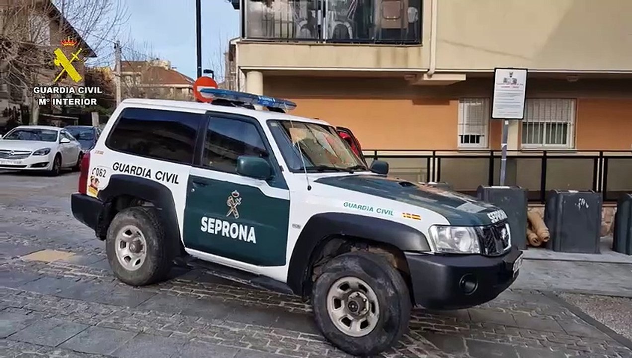 Identifican gracias al ADN al responsable de arrojar a la basura a tres cachorros de perro en Collado Mediano