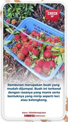 5 Manfaat Rambutan Bagi Kesehatan, Salah Satunya Lancarkan BAB