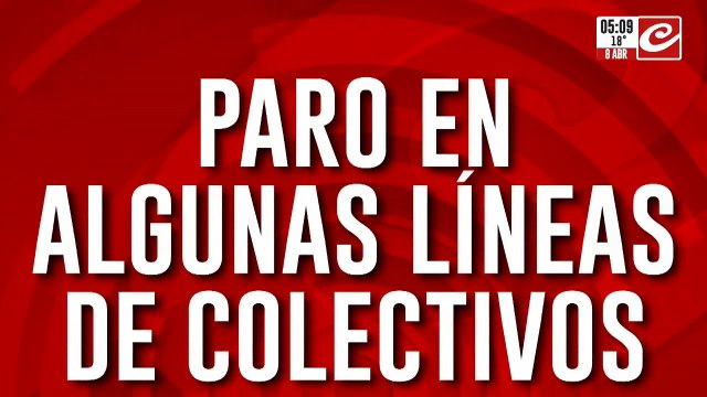 Sorpresivo paro de colectivos en zona sur: ¿qué líneas se ven afectadas?